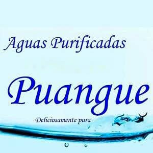 Logo Aguas Purificadas Puangue SpA, cliente de Benítez & Partners